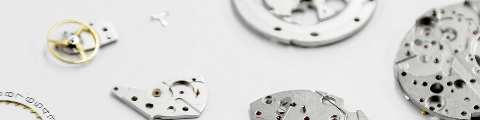 ウエニ貿易サービスセンターの特徴